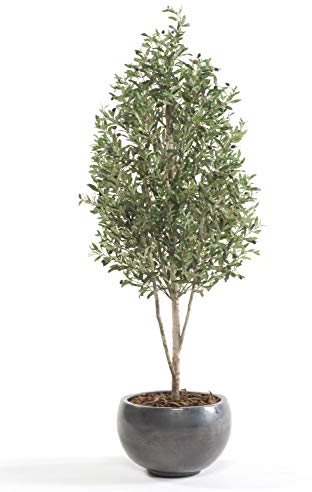 artplants.de Olivenbaum künstlich Deacon, Echtstamm, mit Früchten, 180cm - Künstlicher Olivenbaum/Seidenbaum