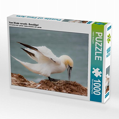 CALVENDO Puzzle Vom Winde verweht - Basstölpel | 1000 Teile Lege-Größe 64 x 48 cm Foto-Puzzle für glückliche Stunden