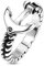 Paula & Fritz® Ring Damen Anker 316L Chirurgenstahl Größe 54 (17,2) Silber Damen-Ring Herren-Ring Partnerring Ehering Motivring Freundschaftsring