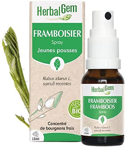 HerbalGem - Macérât-Mère - Spray Framboisier Bio - Complément Alimentaire Gemmothérapie Concentrée - Extrait de Bourgeon Frais - pour Santé Féminine - Format Nomade, Simple et Pratique - 15 ml