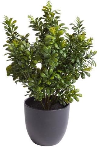 Botanic-Haus künstlicher Buchs/Buchsbusch/Buchszweig im schwarzen Kunststofftopf