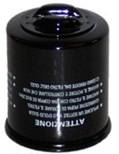 FILTRO OLIO BEVERLY GT RST/IE/SPORT/CRUISER/TOURER MIC 250 2005