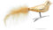 Sikora BS461 Essentials 3er Set traditioneller Christbaumschmuck aus Glas Clip Vögel mit Federschwanz Hochglanz, Farbe/Modell:Champagner Hochglanz 3er Set, Größe:Länge ca. 17 cm