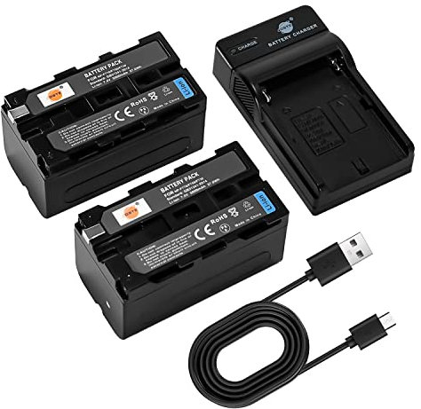 DSTE NP-F750 Lot de 2 batteries d'appareil photo et chargeur compatibles avec Sony CCD-TR710 CCD-TR713E CCD-TR716 CCD-TR717 CCD-TR717E CCD-TR718 CCD-TR718E CCD-SC65 CCD-SC7 CCD-SC7 CCD-SC7C7 /E CCD-S