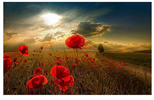 Yooyu Rote Blumen Leinwandbilder Sonnenuntergang Landschaft Leinwand Poster und Drucke Wandkunst Bilder für Wohnzimmer Dekor 50x70cm Rahmenlos