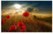 Yooyu Rote Blumen Leinwandbilder Sonnenuntergang Landschaft Leinwand Poster und Drucke Wandkunst Bilder für Wohnzimmer Dekor 50x70cm Rahmenlos
