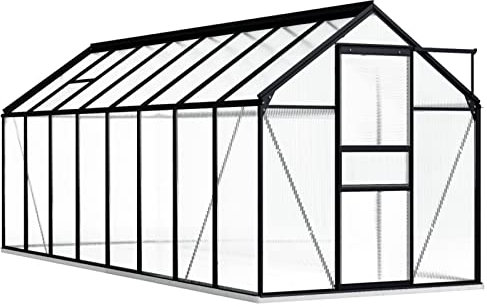 Festnight Serre de Jardin Aluminium Polycarbonate Greenhouse Base Culture Plantes Anthracite Aluminium- avec Cadre de Base-9,31 m²