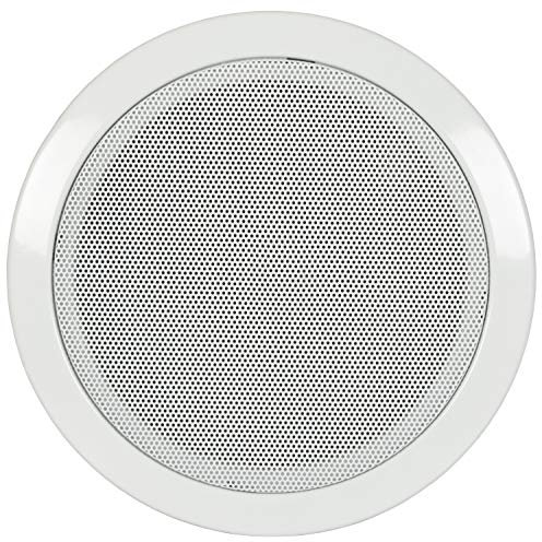 Adastra | Ceiling Speaker with Fire Dome