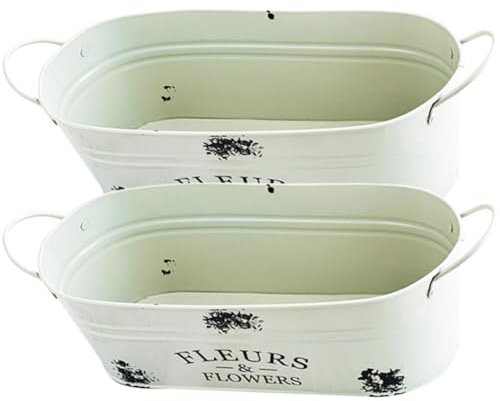 2 Macetas De Metal Cubo De Flores De Hierro Macetero De Metal Vintage Maceta Suculenta De Hojalata Jarrón De Flores Rústicas para Decoración del Jardín del Hogar Color