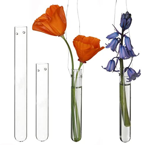 12 Tubos de Ensayo para Colgar Flores de Cristal - Jarrón Con Agujero, Decoración de Ventana y Bodas - Juego de Jarrones Colgantes (10 cm)