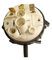 Pressostat (242604-42735) Lavastoviglie 41030820 CANDY