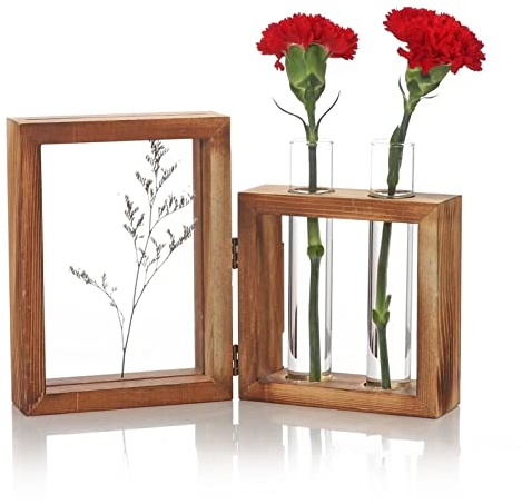 BFYDOAA Bilderrahmen und Reagenzglasvasen-Set, Tisch-Glas-Hydrokultur-Vase und Foto-Trockenblumen-Präsentationsrahmen mit Holzständer