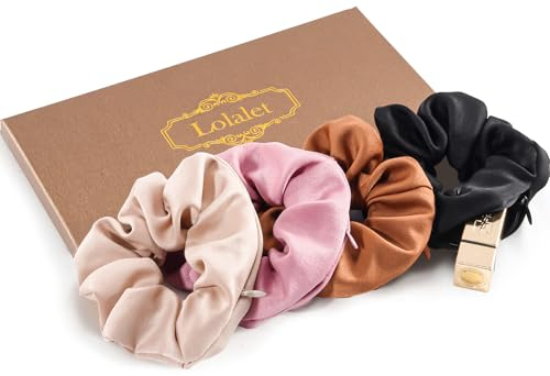 (4 Stück) Lolalet Haargummis Scrunchies mit Reißverschluss Tasche für Damen, Haargummi Weich Elastisch für Damen Frauen Mädchen - A