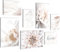 Novart Bilder Blumen Vintage - KOMPLETT AUFHÄNGFERTIG - Grau Rosa Wohnzimmer Schlafzimmer Flur - 7 Moderne Mood-Bilder - N033572a