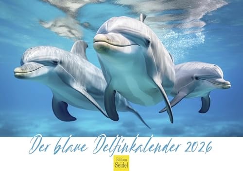 Edition Seidel Premium Kalender Der blaue Delfinkalender 2026 Format DIN A3 Wandkalender Tierkalender Delfin Delfine Säugetiere Meere Ozean