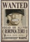 Tainsi One Piece Wanted Zoro Poster 28 x 43 cm