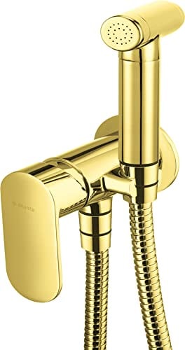 Bidet-Armatur, die unter dem Gips von Deante Alpina montiert wird, Gold – BGA_Z34M