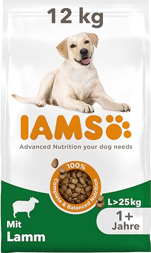 IAMS Adult Large Complete Dry Dog Food Lamb 12kg - With DentalCare System