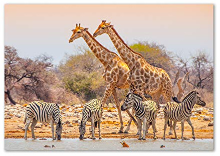 Tulup Glas-Bild Wandbild aus Glas - Wandkunst - Wandbild hinter gehärtetem Sicherheitsglas - Dekorative Wand für Küche & Wohnzimmer 100x70 - Tiere - Giraffen und Zebras - Braun