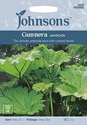 Johnsons 32834 GUNNERA manicata Flower Seeds, Green, 132.0 mm*5.0 mm*92.0 mm
