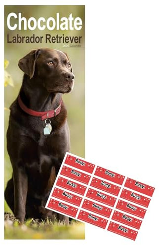 Chocolate Labrador schmaler Kalender 2021 | Hunderasse Slimline Kalender | 12 Monate | mit Organisationsaufklebern