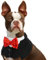 Hundebandana, Smoking Hundehalstuch Hunde Bandana Weihnachten Hundehalstuch Verstellbar Krawatte Hund Dreieck Schal Formale Hochzeit Party(Schwarz, S)