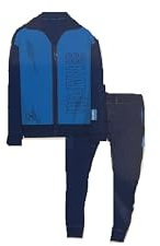 Generico Tuta uomo full zip in poliestere art F10 1165 60% COTONE 40% POLIESTERE (IT, Testo, Taglia unica, Regular, Regular, 54/XXL, AZZURRO)