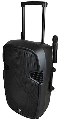 15 Portable PA Speaker Battery Powered with Radio Mic and Bluetooth