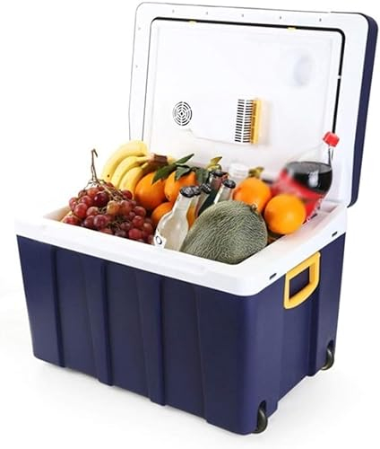 MOOWI Petit réfrigérateur Mini réfrigérateur Compact, Mini réfrigérateur avec congélateur for Bureau, Voiture et Maison, réfrigérateur de Voiture 50 L