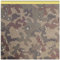 DreamRoots Segeltuch Wasserdicht - Polsterstoff Meterware 160 cm breit - Wasserabweisender Stoff 220 g/m2 600D - Markisenstoff Wasserdicht Meterware Camo 1M