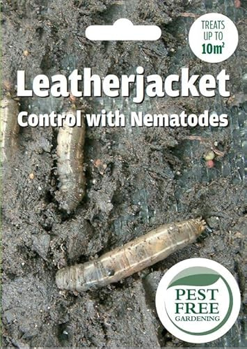 Pest Free Gardening Natural Leatherjacket Grub Nematodes Killer | Kills Daddylong Leg Grubs | Safe for Wildlife, Pets & Kids | (Treats 50sqm)