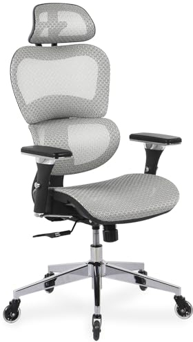 KLIM K800 Chaise de Bureau Ergonomique - Nouveauté 2024 - Siège Ergonomique avec Support Lombaire Dynamique, accoudoirs 4D et appuie-tête réglable - roulettes Anti-Rayures - Gris