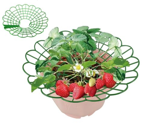 10 Stücke Erdbeerreifer Set | Erdbeerschutz | Erdbeer Halter Ständer | Verstellbarer Rankhilfe Für Erdbeeren | Erdbeergitter Schützen | Pflanze Wachsender Rahmen Für Treibhaus Erdbeer Topfpflanzen