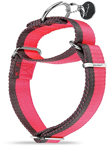 Dazzber Martingal Halsbänder für Mittel/Große Hunde 4cm Breites, Extra Starkes, Verstellbar, Hohe Farbechtheit- Nylon 2 Farbe Gestreift Weit Hundehalsband (Heißes Rosa & Grau, Mittel, 4cm Breit)