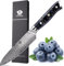 WILDMOK Küchen-Allzweckmesser, 12cm Küchen-Allzweckmesser aus Damaskus-Japan-VG-10-Stahl, scharfes Küchen-Kochmesser, ergonomischer farbiger Harzgriff, luxuriöse Geschenkbox
