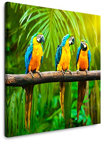 EAUZONE GmbH Papageien auf einem AST 60x60cm Wandbild auf Leinwand, Kunstdruck Moderne Bilder