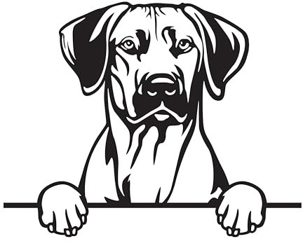 Autoaufkleber/Sticker/für Innen und Außen 28 cm schwarz Rhodesian Ridgeback 01