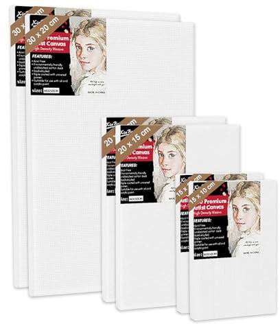 Lot de 6 Toile Peinture, Tableau Peinture sur Toile, Toile Vierge avec Cadre en bois, Toile a Peindre Encadrées, 100% Coton, 30x20CM, 20x15CM, 15x10CM, pour Peintures Acryliques, Gouache