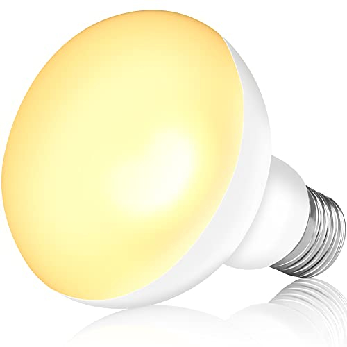 NEPTONION Reptilienwärmelampe, 50W UV-Wärmelampe, Tageslicht-Spotlampe für Eidechsen, Schildkröten, Bartagamen (E26, 220V)