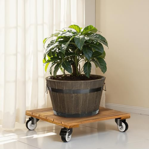 IDZO 2pack Wood Plant Caddy With Wheels Heavy Duty, 264 Lbs Capacity, 12 Inch Acacia Hardwood Plant Dolly, Plant Stand with 360° Lockable Wheels for Plant Pots, Heavy Objects Hauling - Natural Wood