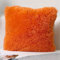 RAILONCH 2Pcs Weicher Kissenbezüge Flauschig Deko Kissen Cuddly Zierkissen Schaffell Lammfell Kunstfell Langhaar Kissenbezug, Zierkissenbezüge für Sofa Büro (Orange)