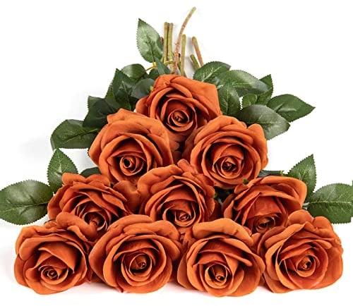 DuHouse 10 rose finte fiori di seta artificiali fiori di rosa finto fiore lunghi steli bouquet per organizzare matrimoni centrotavola festa casa decorazione cucina(Arancio bruciato)
