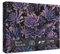 Impossible Purple Succulent Puzzle 1000 Pieces, Hard Difficult Puzzles for Adult, Challenging Plant Jigsaw Puzzle as Succulent