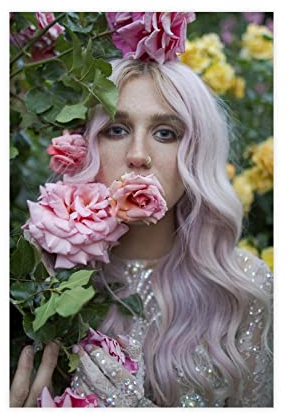 Amerikanische Sängerin Kesha Leinwand Poster Schlafzimmer Dekor Sport Landschaft Büro Zimmer Dekor Geschenk ungerahmt 30 x 45 cm