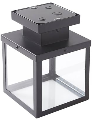 Lindby Deckenlampe Mandus (Modern) in Schwarz aus Edelstahl (1 flammig, E27) - Aufbau-Deckenleuchte Deckenleuchte Lampe