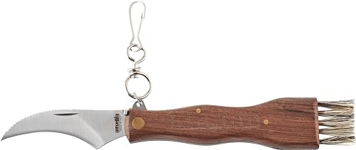 AUSONIA Italienischer Pilzmesser 21 CM mit Bürste | Edelstahl Klinge AISI440, Holzgriff, Schwammerlmesser mit Pinsel, Klappmesser