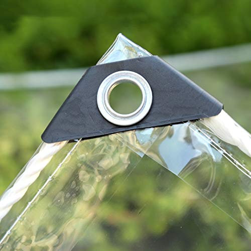 WYFZT Lona fortalecida a Prueba de Agua - Hoja de Cubierta de Lona Transparente - Planta de Invierno al Aire Libre Cubierta Que Cubre de Escarcha para Detener Las Plantas de la Escarcha, 3m x 4m