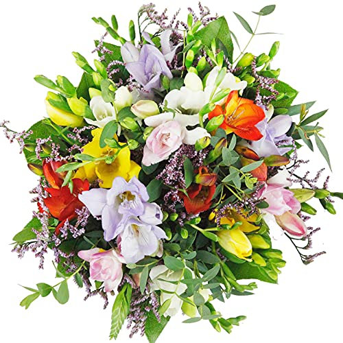 Happy Birthday - Blumenstrauß mit 10 bunten Freesien und Statice - Inklusive Grußkarte # Geburtstag # Überraschung # Freundschaft