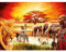 Diamond Painting Éléphant d'Afrique Broderie Diamant Painting Kit Complet Grand Format 5D Peinture Diamant Numero Adulte Enfant Strass Coller Perle Tableau Diamant Art Craft Home Decor 50x70cm