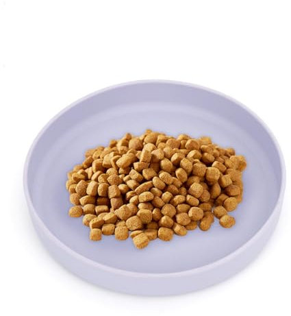 VIVIIHOO Cuenco para Gatos | Plato para Comida Seca y húmeda | Cuenco de Silicona para Beber | Plato ergonómico para Gatitos y Cachorros | Cuenco de Agua | Color Lila Fresco | Cuencos para Gatos